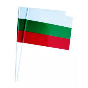 Знаме на България, хартиено, 16 x 22 cm