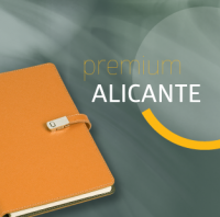 ALICANTE